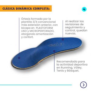 Plantilla clásica dinámica completa